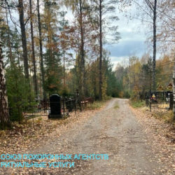 Новое и старое кладбище пос. Шапки (Тосненский район) администрация ритуальные услуги телефон